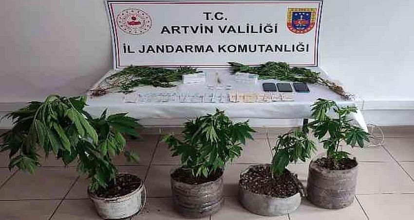 Artvin’de jandarmadan uyuşturucu operasyonu: 3 tutuklama