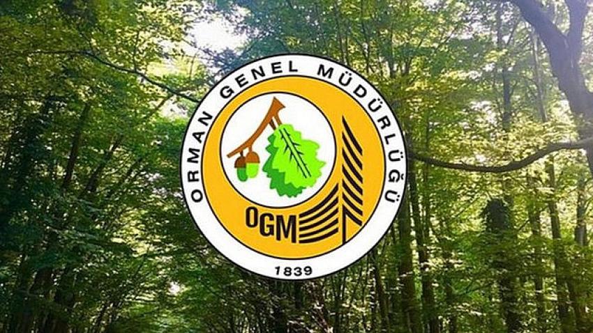 Orman Genel Müdürlüğü 124’ü Artvin Olmak Üzere Toplam 5000 İşçi Alacak