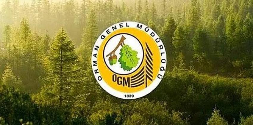 Orman Genel Müdürlüğü Arhavi Orman İşçisi Kura Sonuçları Açıklandı!