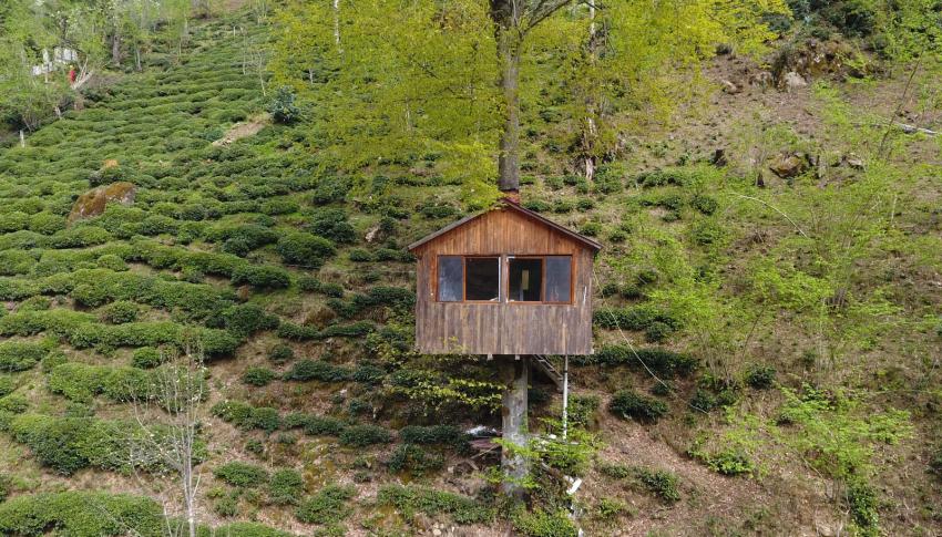 Gençlikte hayalini kurdukları ağaç evi 30 yıl sonra yaptılar