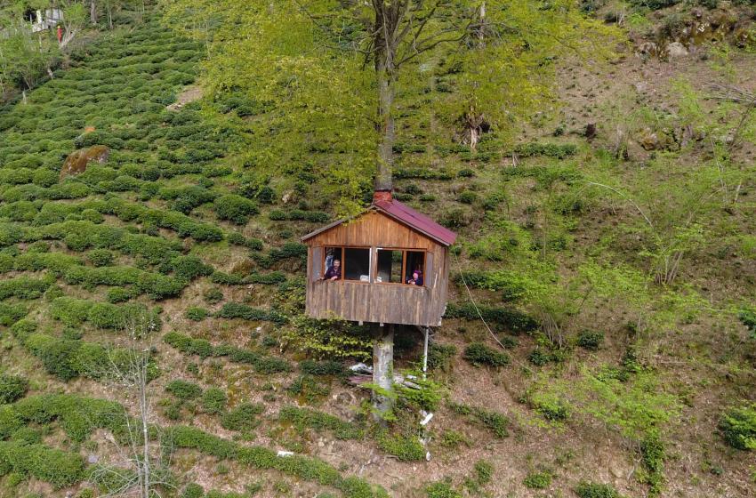 Gençlikte hayalini kurdukları ağaç evi 30 yıl sonra yaptılar